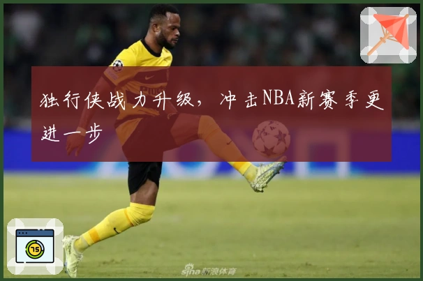 独行侠战力升级，冲击NBA新赛季更进一步