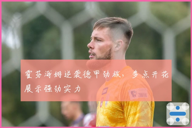 霍芬海姆逆袭德甲劲旅，多点开花展示强劲实力